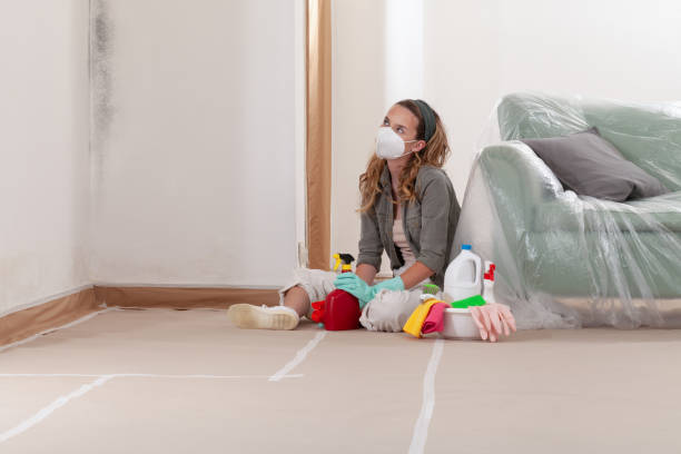 Reliable Mold Cleanup contractor in Oakton, VA by WQB Mold Removal
